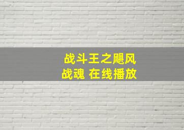 战斗王之飓风战魂 在线播放